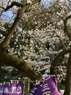 下野 星宮神社(栃木県)