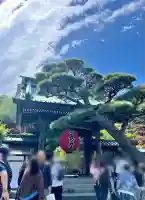 長谷寺(神奈川県)