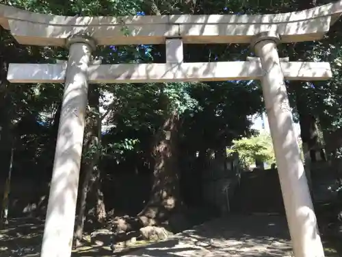 金王八幡宮の鳥居