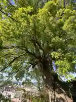 正覚院(広島県)