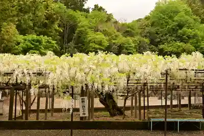 長泉寺(埼玉県)