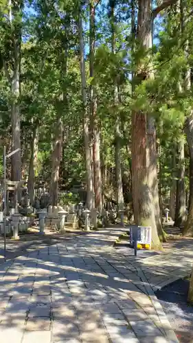 高野山金剛峯寺奥の院(和歌山県)