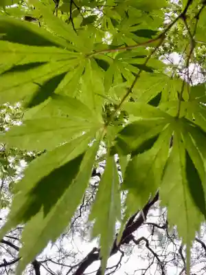 桂春院(京都府)