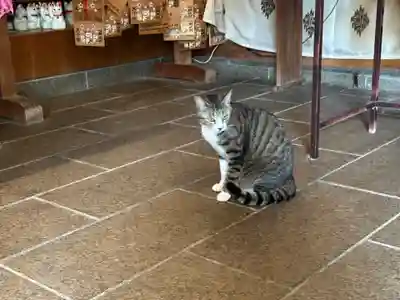 王子神社(徳島県)
