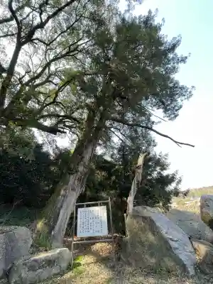 大興寺(香川県)