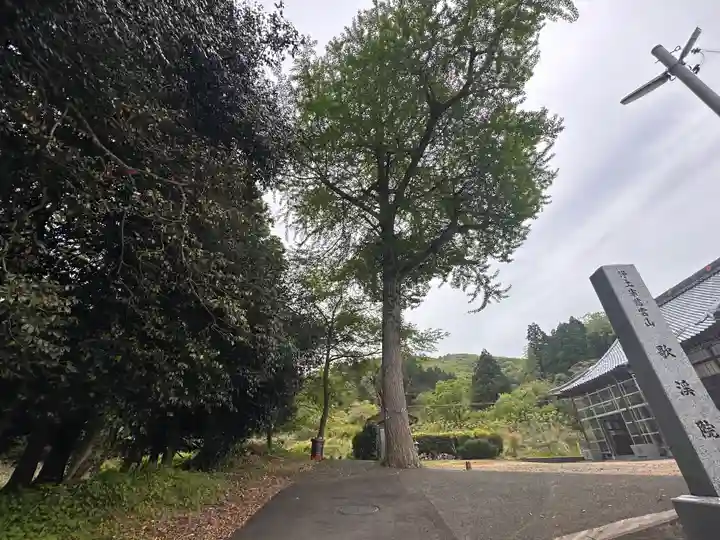 歌渓院(福井県)