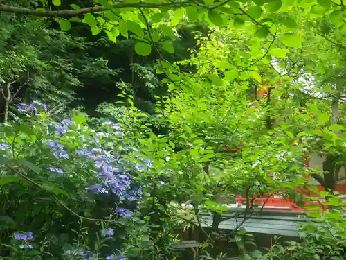 荏柄天神社の自然