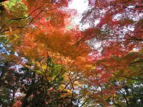 大正寺の庭園