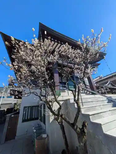 真英寺(東京都)