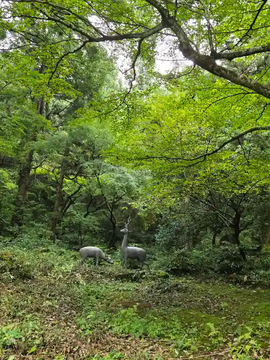 劒神社(福井県)