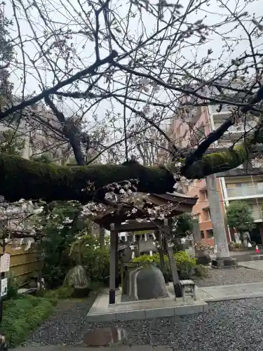 猿江神社の{uncategorized: "未分類", other: "その他", undefined: "問題あり", building: "その他建物", grave: "お墓", sacred_gate: "鳥居", guardian: "狛犬", statue: "像", buddha: "仏像", history: "歴史", nature: "自然", garden: "庭園", animal: "動物", pagoda: "塔", temizu: "手水舎", mountain_gate: "山門・神門", sanctuary: "本殿・本堂", subordinate: "末社・摂社", art: "芸術", scenery: "景色", jizo: "地蔵", ema: "絵馬", goshuin: "御朱印", omikuji: "おみくじ", items: "授与品その他", amulet: "お守り", goshuincho: "御朱印帳", eats: "食事", festival: "お祭り", votive_dance: "神楽", shichigosan: "七五三参", wedding: "結婚式", experience: "体験その他", initially: "初詣", around: "周辺", anti_infection: "感染症対策"}