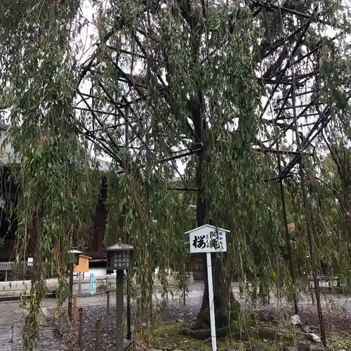 大報恩寺（千本釈迦堂）の自然