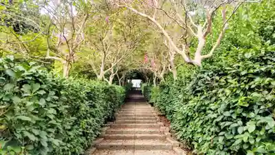 崇禅寺(群馬県)