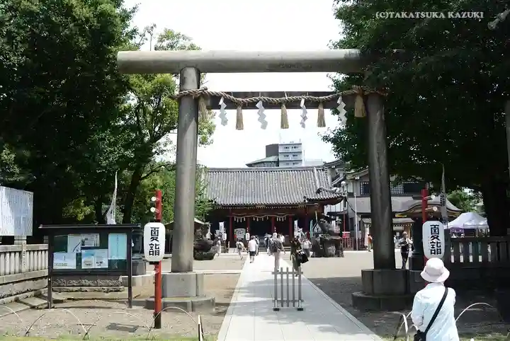 浅草神社の鳥居