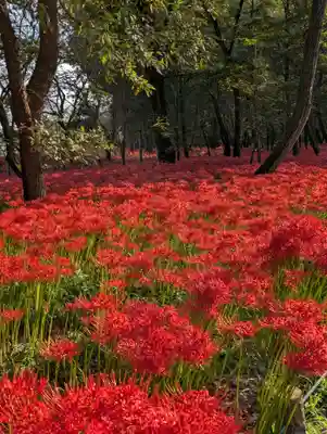 高麗神社(埼玉県)