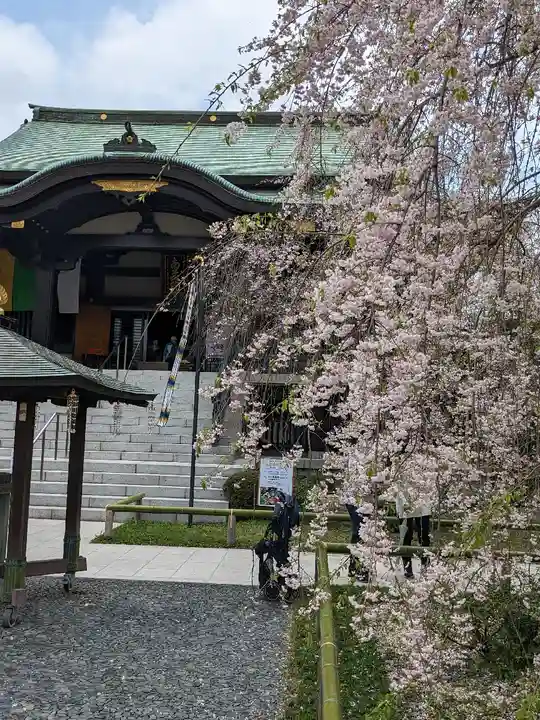宝勝山 南藏院 蓮光寺の本殿・本堂