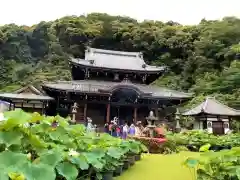 三室戸寺(京都府)