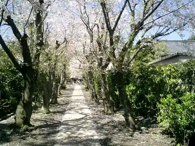極楽寺（霊鷲山感應院極楽律寺）の周辺