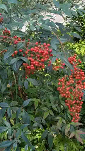 宝蔵寺(京都府)