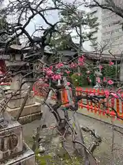 開口神社の自然