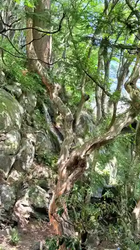 最乗寺（道了尊）(神奈川県)