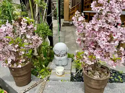 法光寺(東京都)