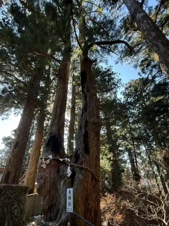 玉置神社(奈良県)