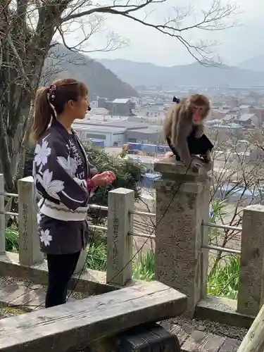 金崎宮(福井県)