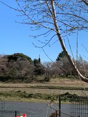 慈恩寺(埼玉県)