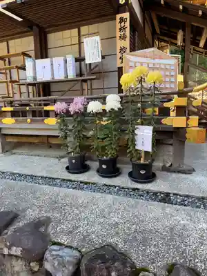 賀茂別雷神社（上賀茂神社）(京都府)