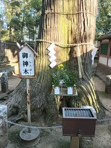 一言主神社の{uncategorized: "未分類", other: "その他", undefined: "問題あり", building: "その他建物", grave: "お墓", sacred_gate: "鳥居", guardian: "狛犬", statue: "像", buddha: "仏像", history: "歴史", nature: "自然", garden: "庭園", animal: "動物", pagoda: "塔", temizu: "手水舎", mountain_gate: "山門・神門", sanctuary: "本殿・本堂", subordinate: "末社・摂社", art: "芸術", scenery: "景色", jizo: "地蔵", ema: "絵馬", goshuin: "御朱印", omikuji: "おみくじ", items: "授与品その他", amulet: "お守り", goshuincho: "御朱印帳", eats: "食事", festival: "お祭り", votive_dance: "神楽", shichigosan: "七五三参", wedding: "結婚式", experience: "体験その他", initially: "初詣", around: "周辺", anti_infection: "感染症対策"}