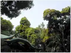 中野氷川神社の建物その他