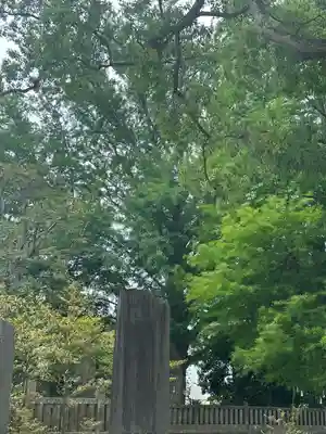 金刀比羅神社(千葉県)