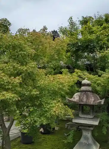 勝林寺(京都府)