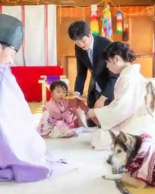 鹿嶋三嶋神社(茨城県)