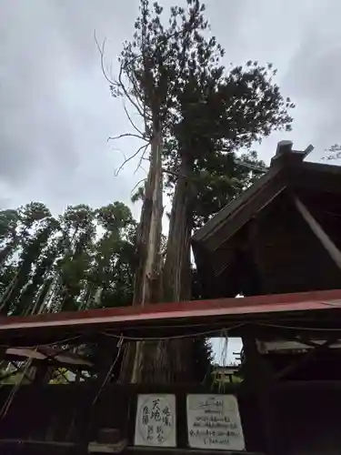 鹿嶋三嶋神社(茨城県)