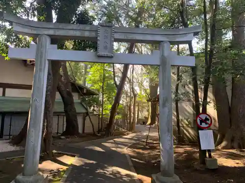 北澤八幡神社の鳥居