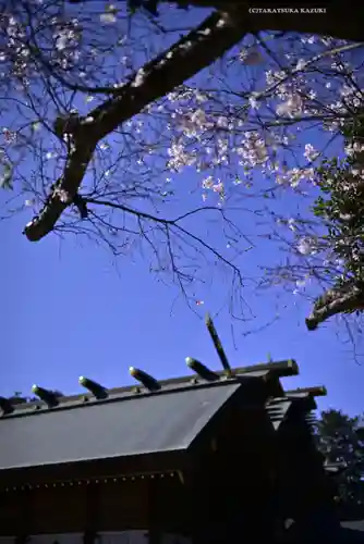 櫻木神社のその他建物