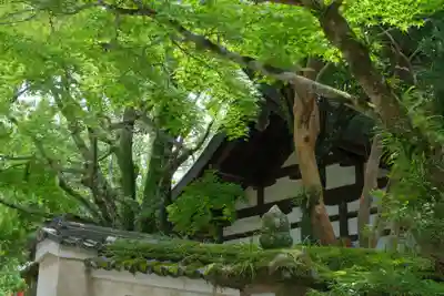 春日大社のその他建物