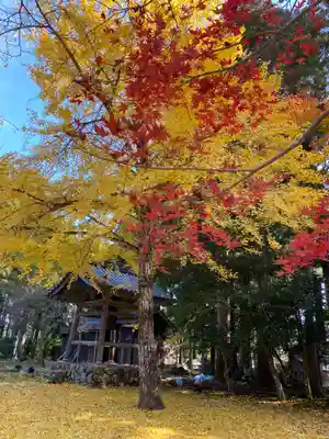 興聖寺(滋賀県)