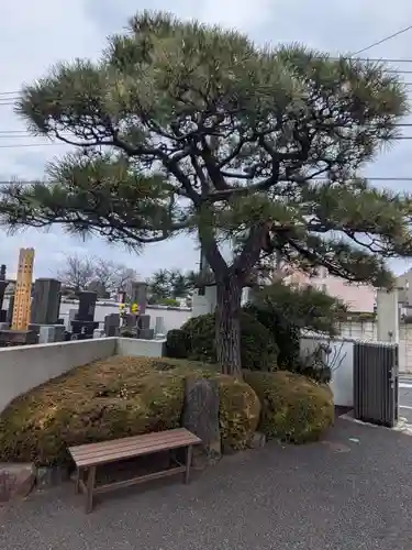 法蔵院(東京都)
