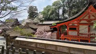 出雲大神宮(京都府)