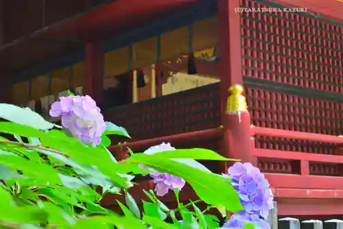 金王八幡宮(東京都)