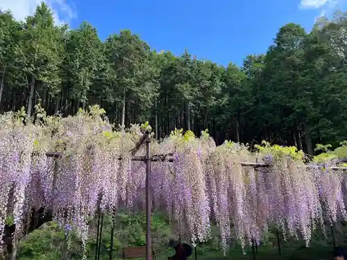 天台宗 五大山 白毫寺(兵庫県)