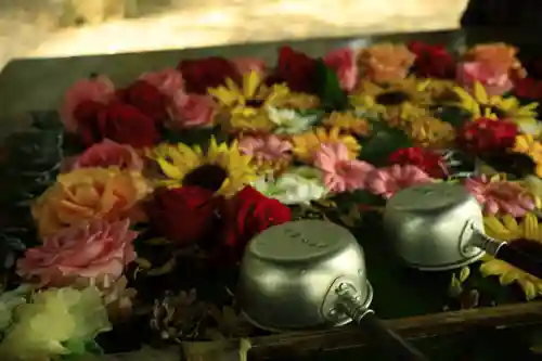 世田谷八幡宮(東京都)