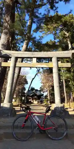 酒匂神社の鳥居