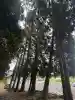 神魂神社(島根県)