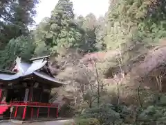 花園神社の本殿