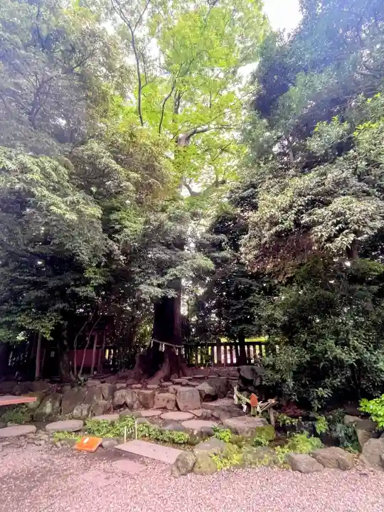 川越氷川神社の{uncategorized: "未分類", other: "その他", undefined: "問題あり", building: "その他建物", grave: "お墓", sacred_gate: "鳥居", guardian: "狛犬", statue: "像", buddha: "仏像", history: "歴史", nature: "自然", garden: "庭園", animal: "動物", pagoda: "塔", temizu: "手水舎", mountain_gate: "山門・神門", sanctuary: "本殿・本堂", subordinate: "末社・摂社", art: "芸術", scenery: "景色", jizo: "地蔵", ema: "絵馬", goshuin: "御朱印", omikuji: "おみくじ", items: "授与品その他", amulet: "お守り", goshuincho: "御朱印帳", eats: "食事", festival: "お祭り", votive_dance: "神楽", shichigosan: "七五三参", wedding: "結婚式", experience: "体験その他", initially: "初詣", around: "周辺", anti_infection: "感染症対策"}