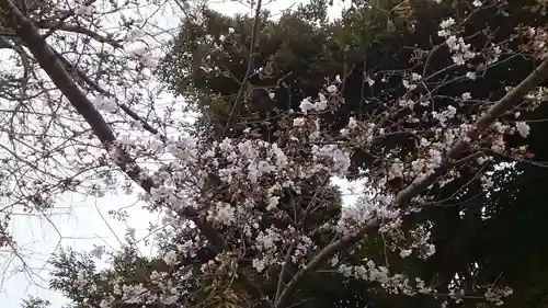 千住神社の自然